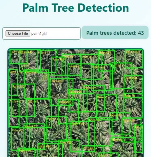 Palm Tree Detection